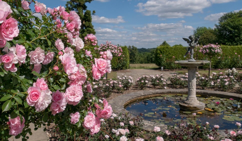 National Trust - Emmetts Garden, Ide Hill, United Kingdom